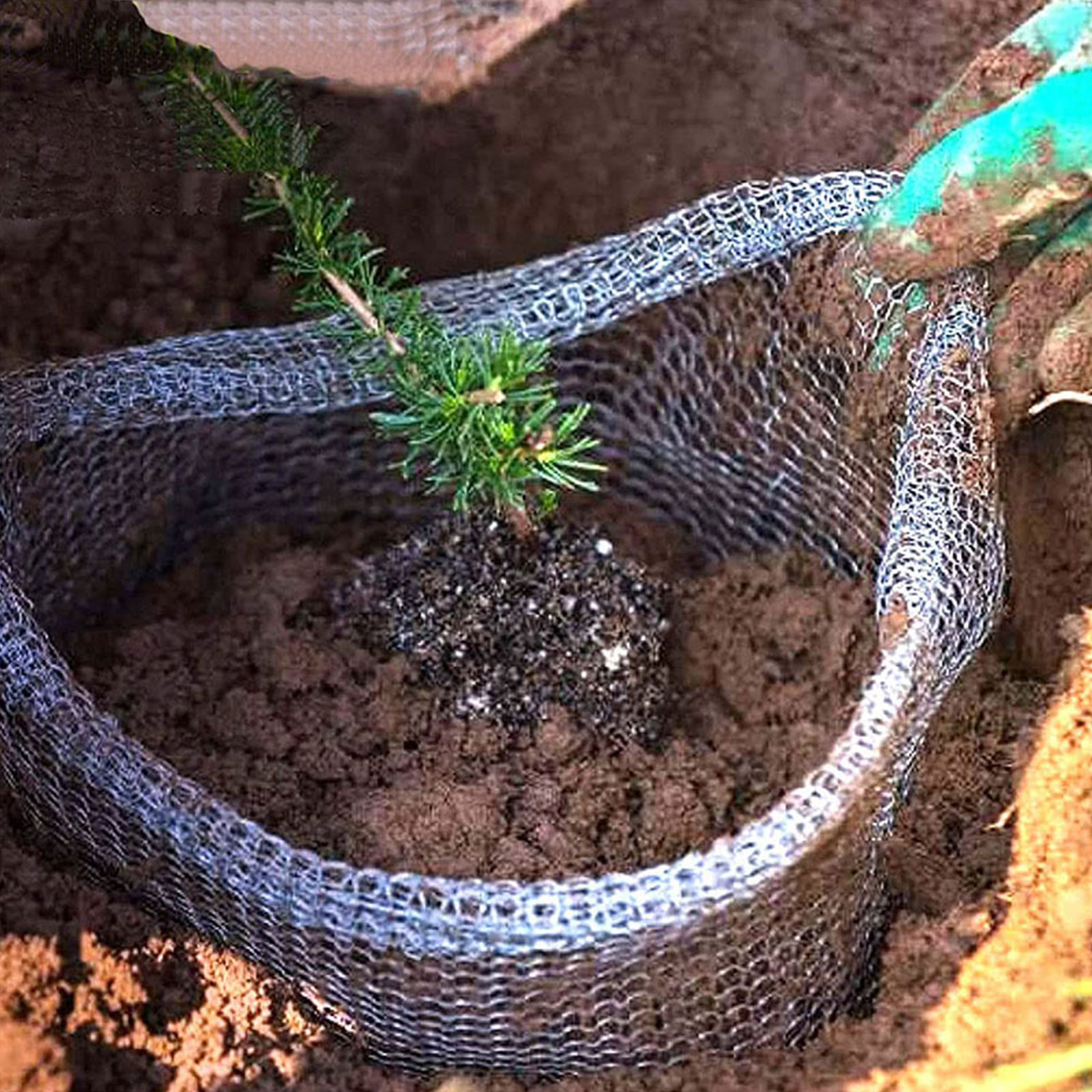 Plant Root Guard Baskets Garde – обзор и цена Mesh Stainless Strap