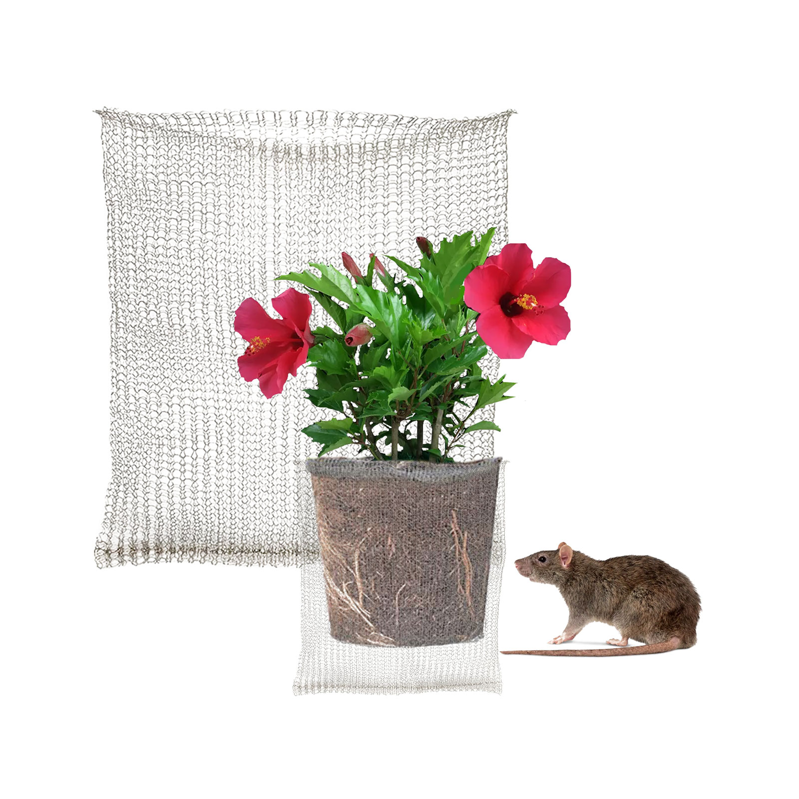 Plant Root Guard Baskets Garde – обзор и цена Mesh Stainless Strap